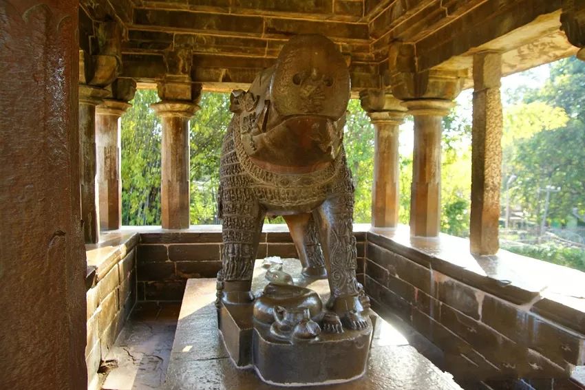 野猪的“世界史”，也是一部《权力的游戏》