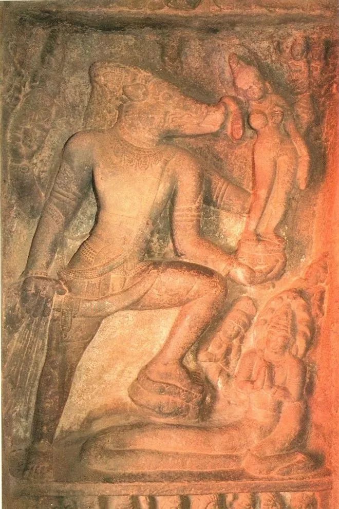 野猪的“世界史”，也是一部《权力的游戏》