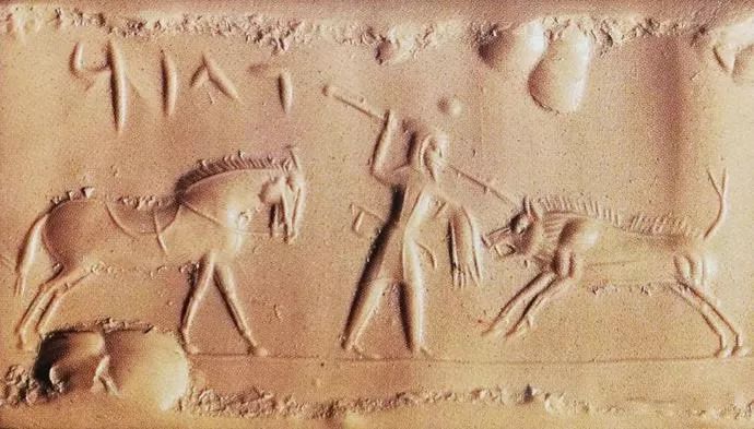 野猪的“世界史”，也是一部《权力的游戏》