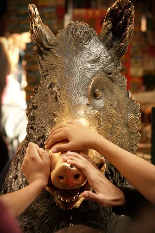 野猪的“世界史”，也是一部《权力的游戏》