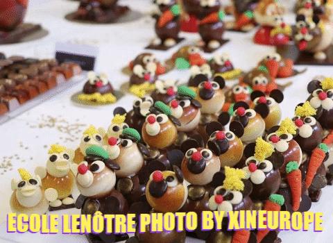 美国留学探校,留学的真相美国探校