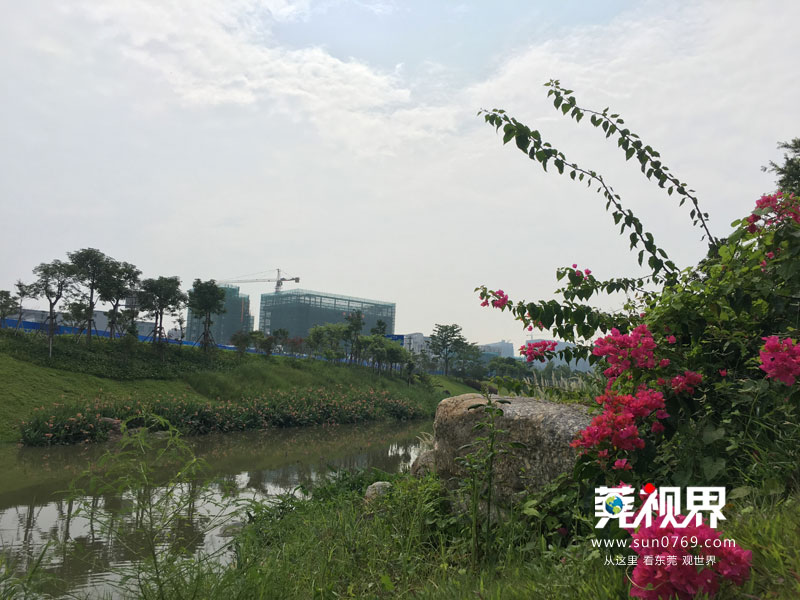 东莞寮步镇生态园重大项目,寮步一等奖