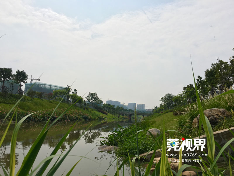 东莞寮步镇生态园重大项目,寮步一等奖