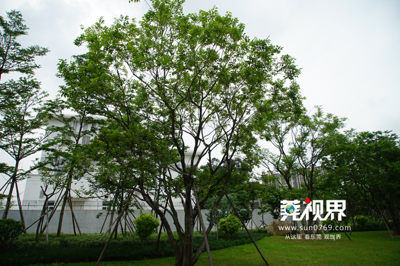 东莞寮步镇生态园重大项目,寮步一等奖