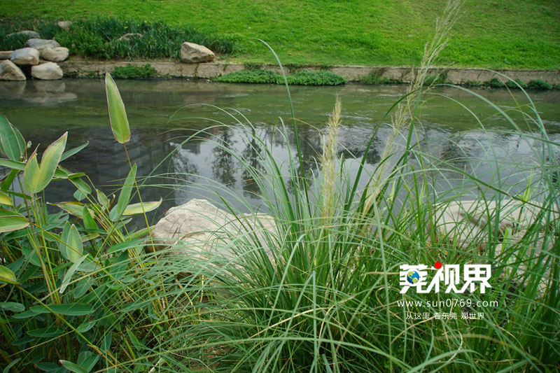 东莞寮步镇生态园重大项目,寮步一等奖