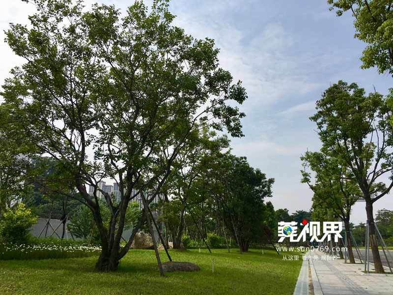 东莞寮步镇生态园重大项目,寮步一等奖