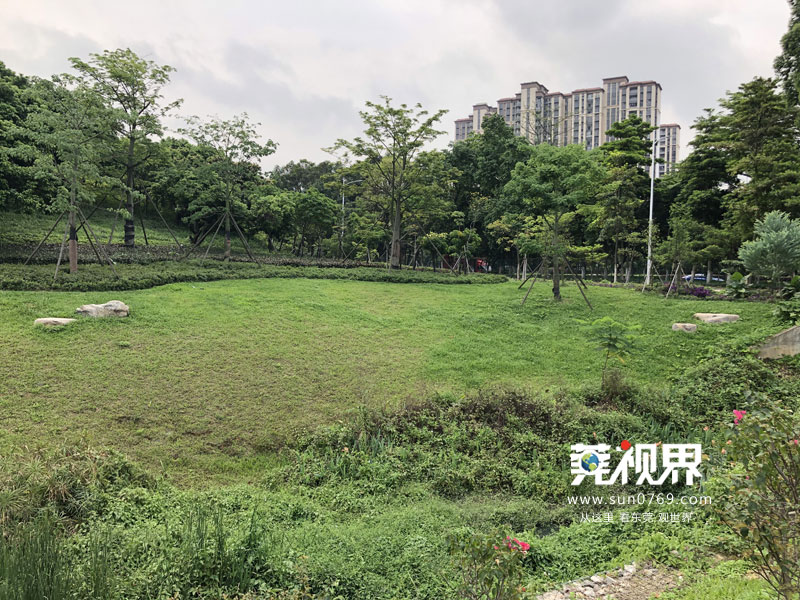 东莞寮步镇生态园重大项目,寮步一等奖