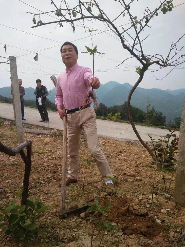 专治风湿关节炎的中医大师,从赤脚医生到全国名中医