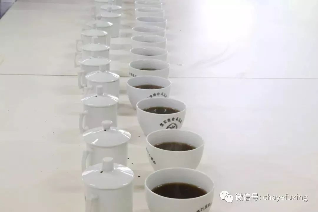 我买了生茶回去可以自己发酵吗？「再问就要被拉黑了」