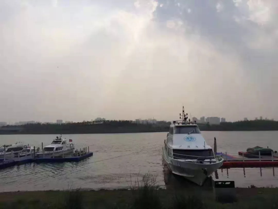 最新爆料郑州,爆料郑州