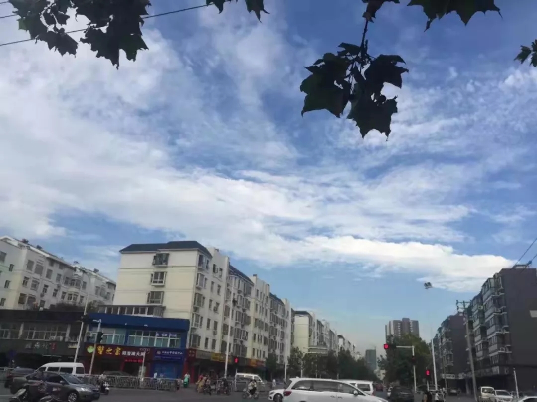 最新爆料郑州,爆料郑州