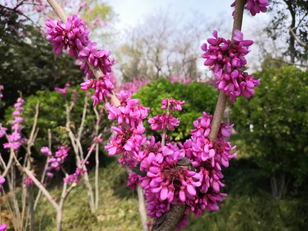 最新爆料郑州,爆料郑州