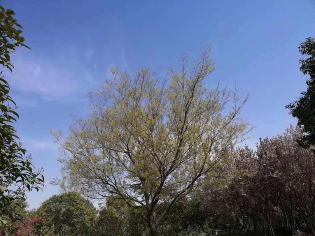 最新爆料郑州,爆料郑州