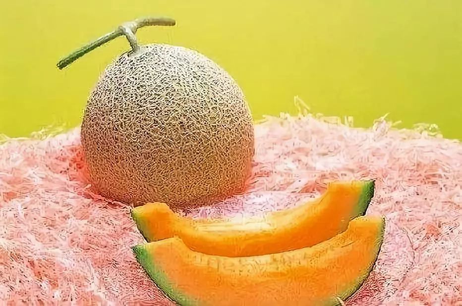 甜瓜什么时候能打硼和钙,硼过量的解决办法