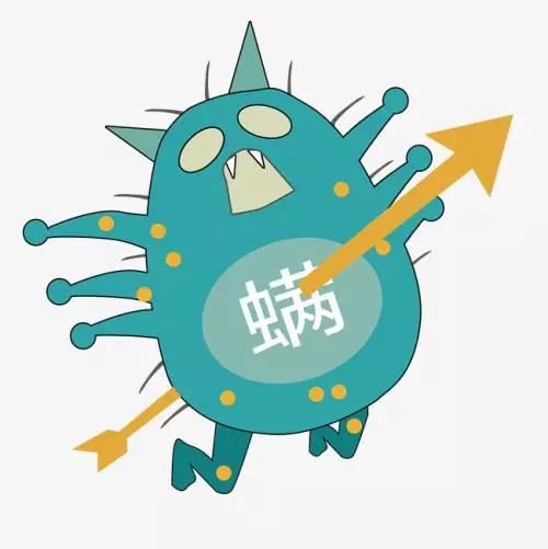 大量的螨虫,成千上万只螨虫看得见吗