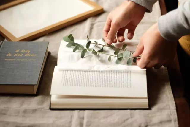 干花制作手工画,做手工diy干花