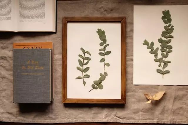 干花制作手工画,做手工diy干花