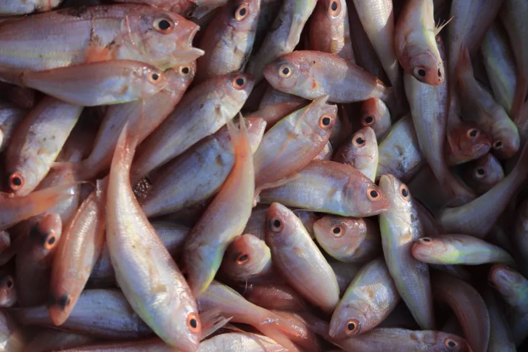 突然发现脖子上长了个黑色瘤,如何判断脖子上是否有肿瘤