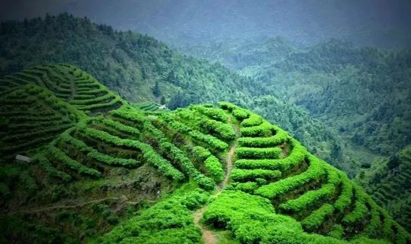 头条丨在这里，你不用穿越人山人海，也能跨过山和大海——广西9条精品旅游线路重磅推荐