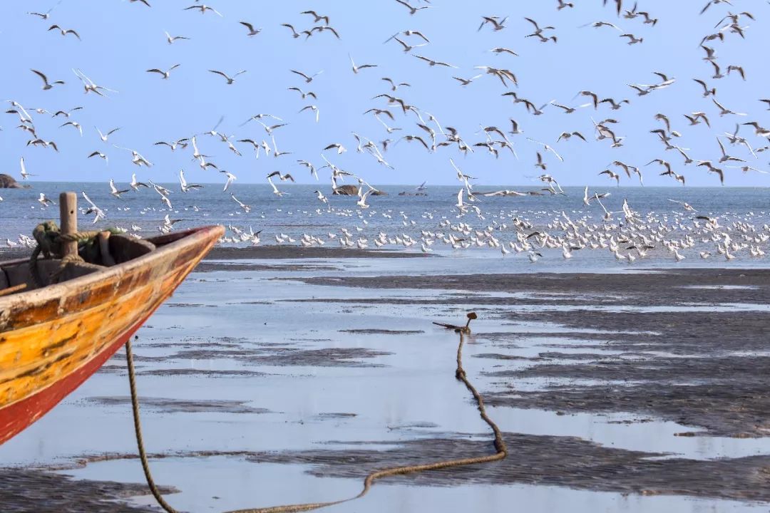 头条丨在这里，你不用穿越人山人海，也能跨过山和大海——广西9条精品旅游线路重磅推荐