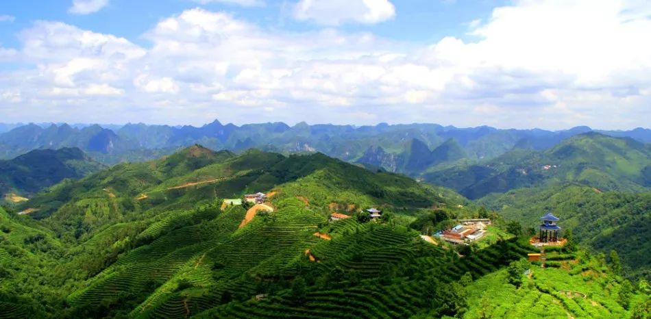 头条丨在这里，你不用穿越人山人海，也能跨过山和大海——广西9条精品旅游线路重磅推荐