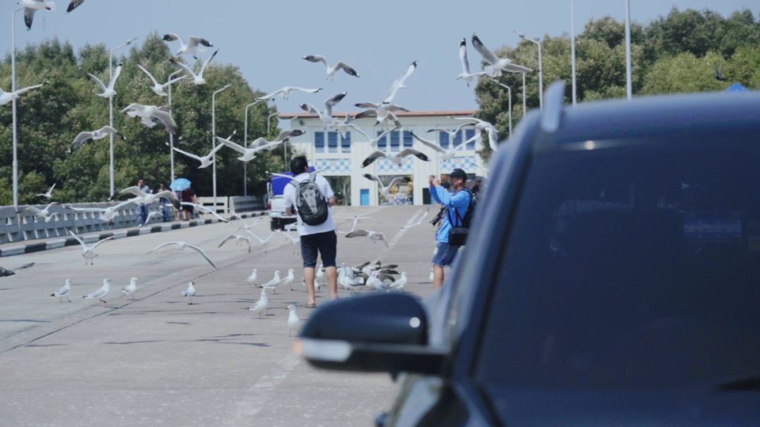 泰国vlog素材,vlog感受一下泰国的风景