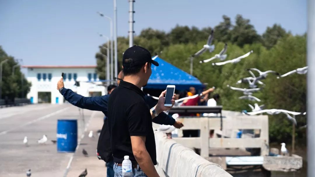 泰国vlog素材,vlog感受一下泰国的风景