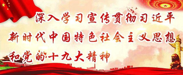 【扫黑除恶】安康市扫黑除恶专项斗争大事记