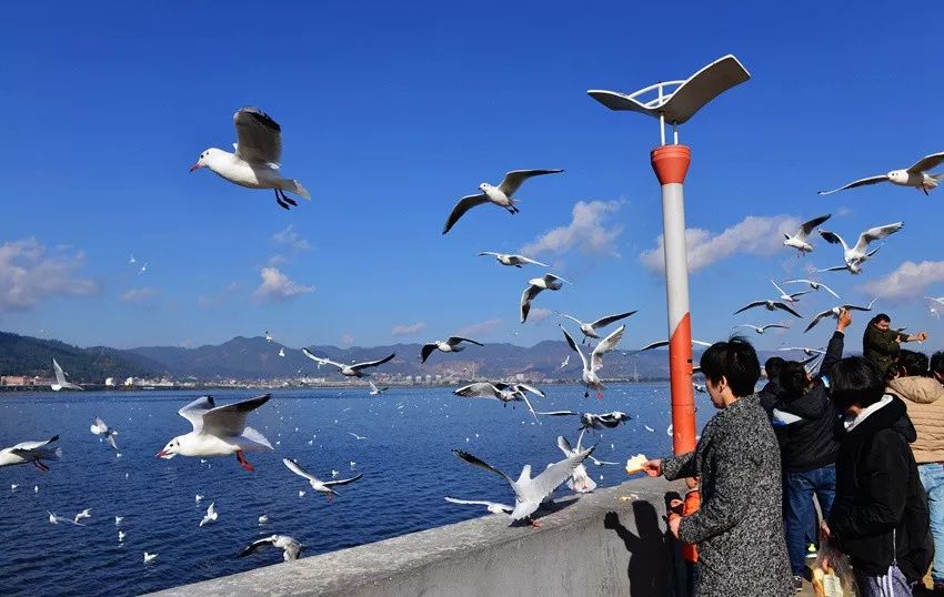 黔东南+黔西南经典八日游—昆明—马岭河峡谷—万峰林—黄果树瀑布—荔波小七孔—千户苗寨—镇远古镇—梵净山—石阡温泉