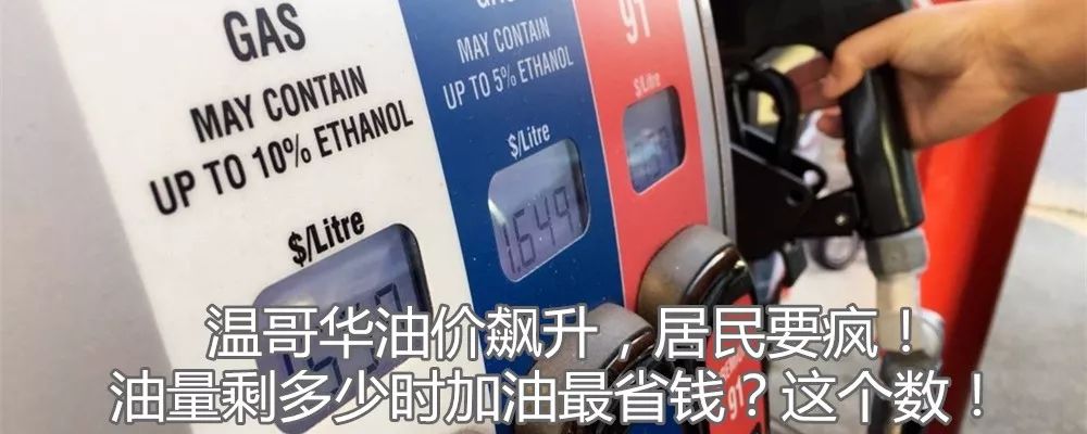 出国那么好?上海5套房的姑娘在加拿大给人洗脚,大学教授切肉博士生扫地