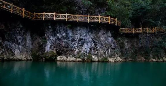 贵州平坝樱花旅游直通车,贵州旅游景区直通车攻略