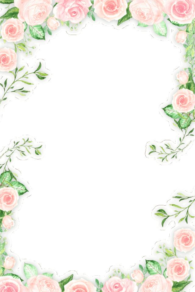 资生堂官方团购,资生堂旗舰店618