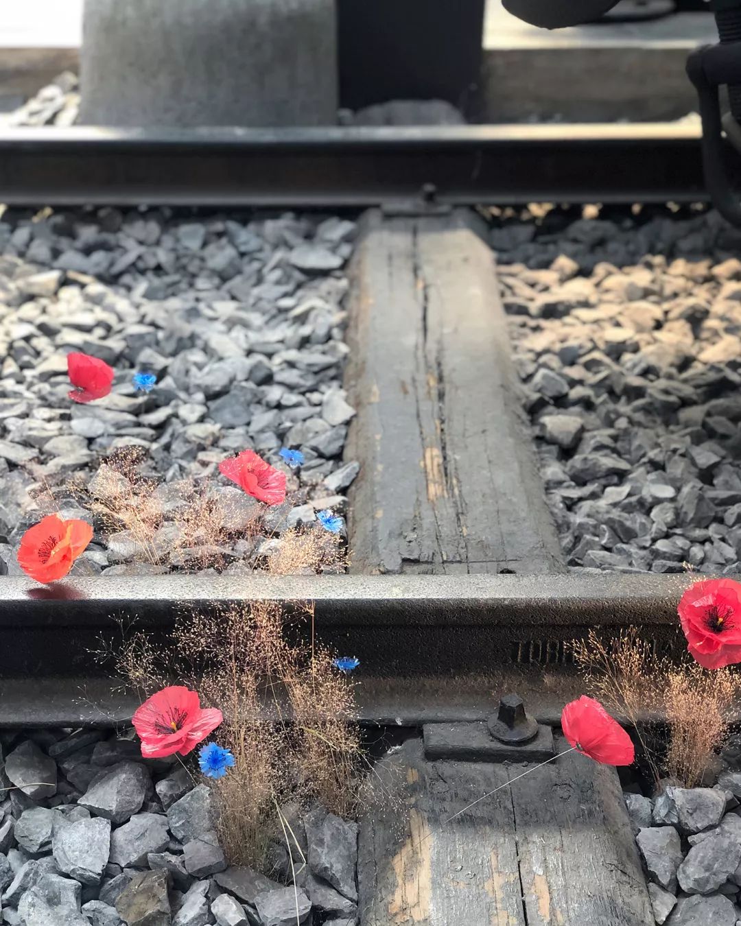 米兰街头暗访竟有井柏然，结果意外：购物车空了