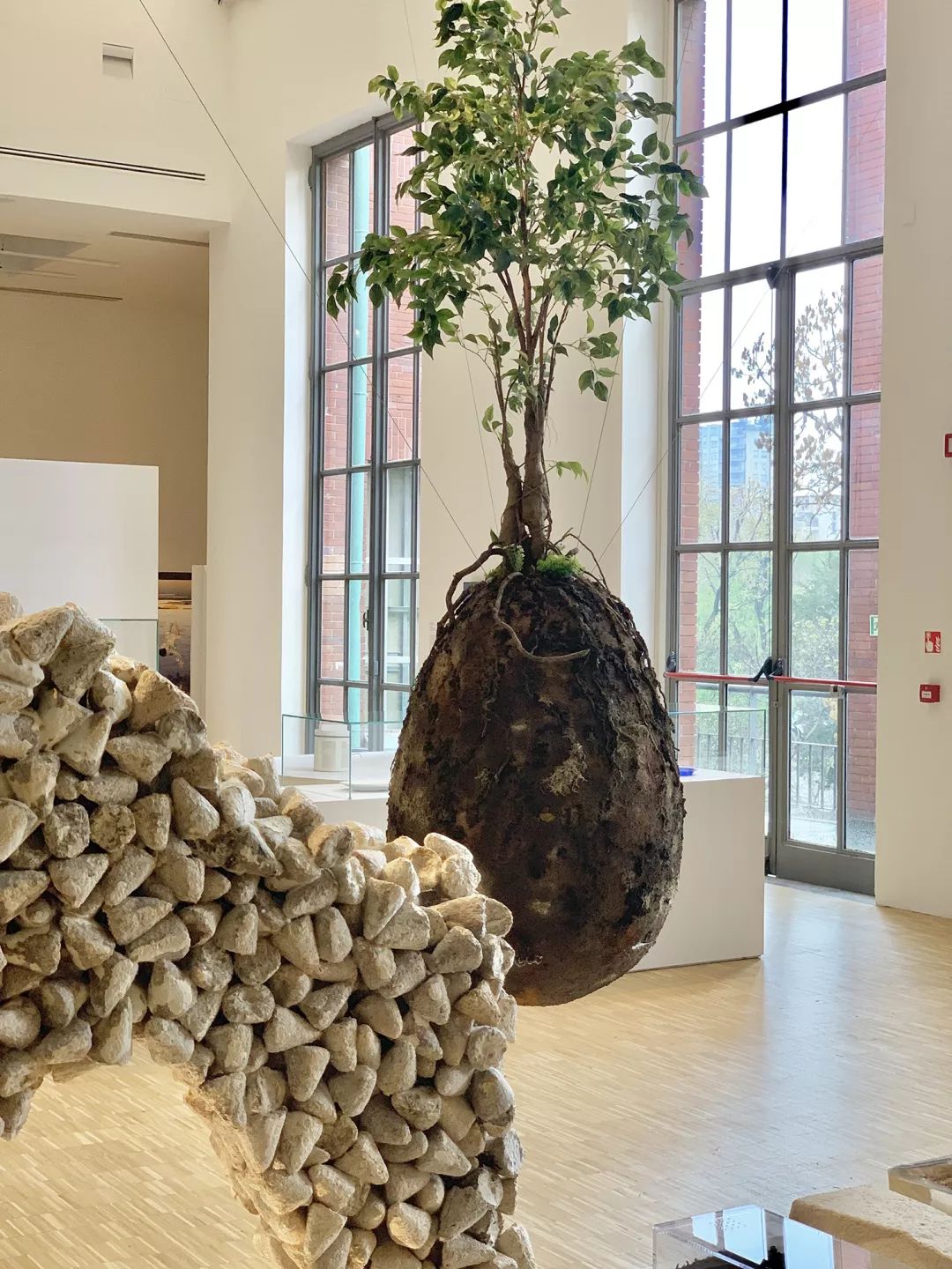 米兰街头暗访竟有井柏然，结果意外：购物车空了