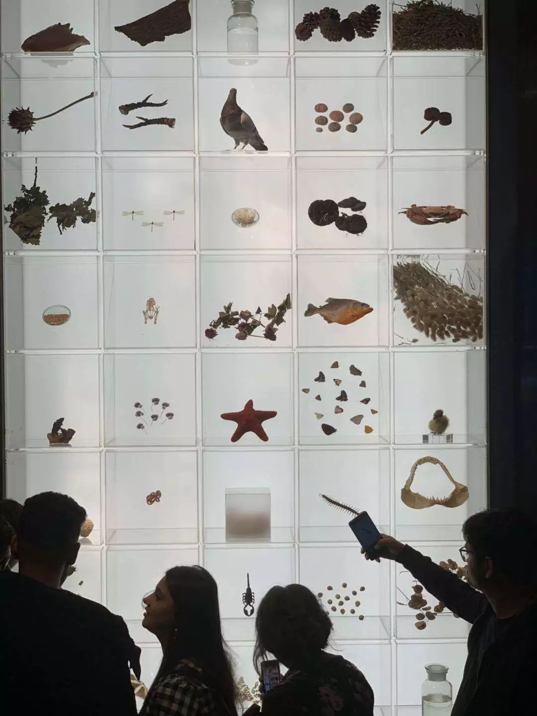 米兰街头暗访竟有井柏然，结果意外：购物车空了