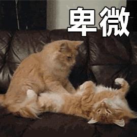 我太有信心了!这个按摩仪一定能让你爽到啊啊啊啊啊啊叫