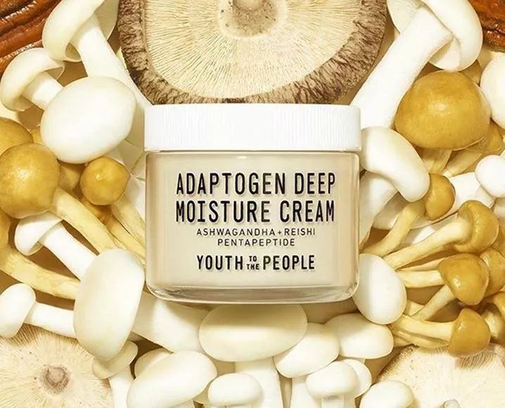 走心的好物推荐,好物推荐春夏必备款