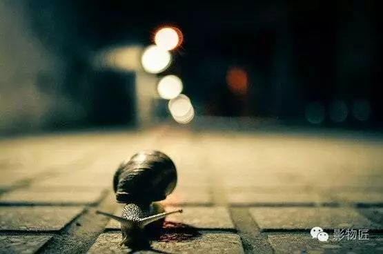 月薪四千买两万的包完整版,月薪一万买两万的包正常吗