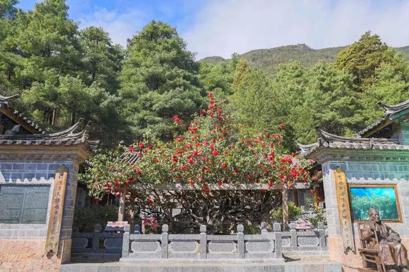 丽江让你流连忘返的地方,流连忘返丽江之旅