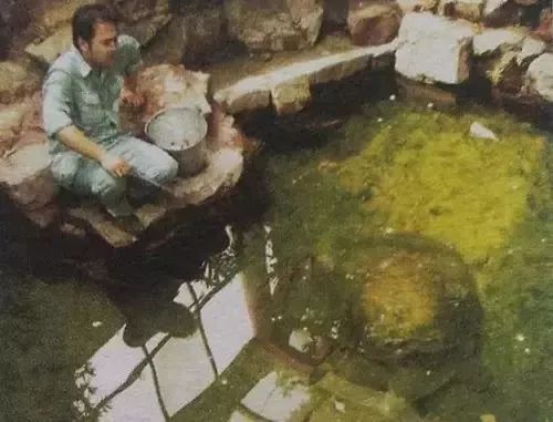 全球仅剩3只斑鳖,中国唯一一只斑鳖