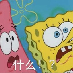 揭露微信股票群的骗局,炒股群50人49个骗子