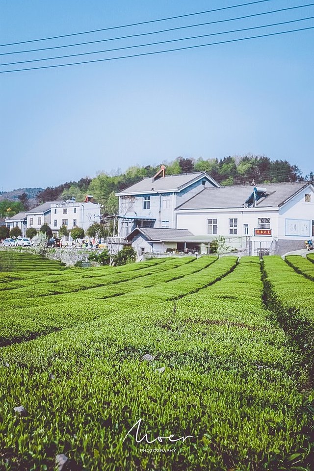 去哪儿首发：72小时玩转宜都，穿越古今，看大自然和人类文化的碰撞