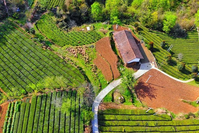 去哪儿首发:72小时玩转宜都,穿越古今,看大自然和人类文化的碰撞