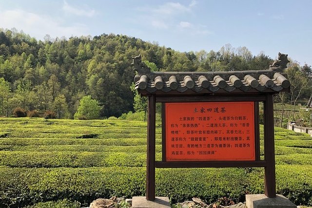 去哪儿首发：72小时玩转宜都，穿越古今，看大自然和人类文化的碰撞