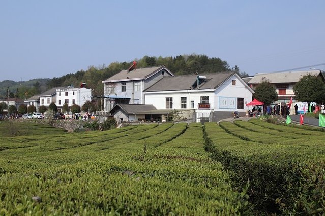 去哪儿首发：72小时玩转宜都，穿越古今，看大自然和人类文化的碰撞