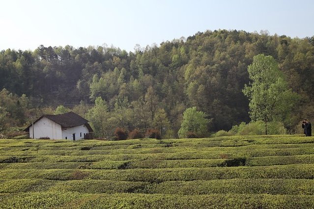 去哪儿首发:72小时玩转宜都,穿越古今,看大自然和人类文化的碰撞
