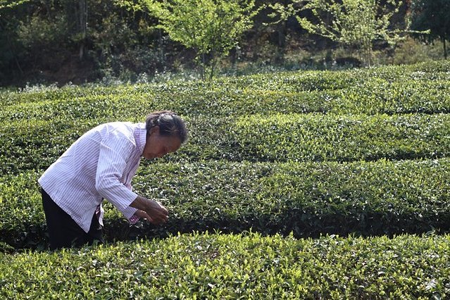 去哪儿首发:72小时玩转宜都,穿越古今,看大自然和人类文化的碰撞