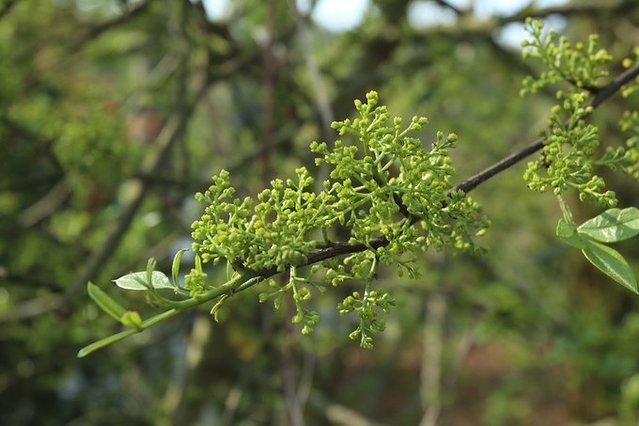 去哪儿首发:72小时玩转宜都,穿越古今,看大自然和人类文化的碰撞