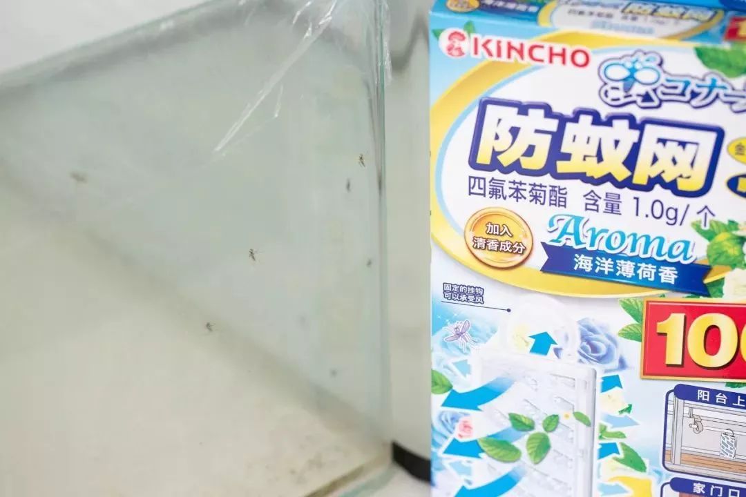 100%遮光蚊帐,蚊帐防蚊神器