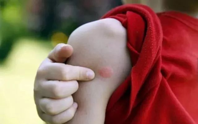 100%遮光蚊帐,蚊帐防蚊神器